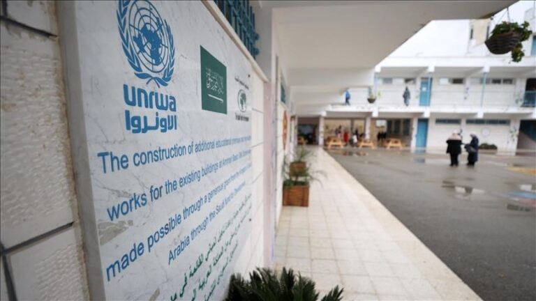 اللجان الشعبية: لا إضراب غداً في مدارس الأونروا ونستذكر ذكرى وفاة أبو عمار بروح الرحمة والتقدير
