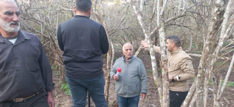 البرج الشمالي تبدأ استعدادات تجريف وتسوية أرض المقبرة الجديدة