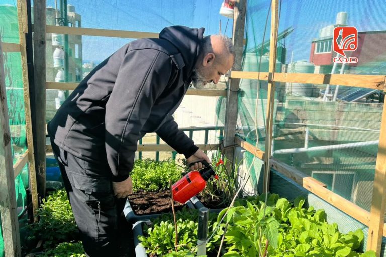 زراعة فوق الإسمنت: خيام زراعية على أسطح المنازل في مخيم البرج الشمالي