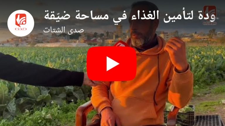 شاهد  الزراعة في مخيم الرشيدية: محاولات محدودة لتأمين الغذاء في مساحة ضيقة