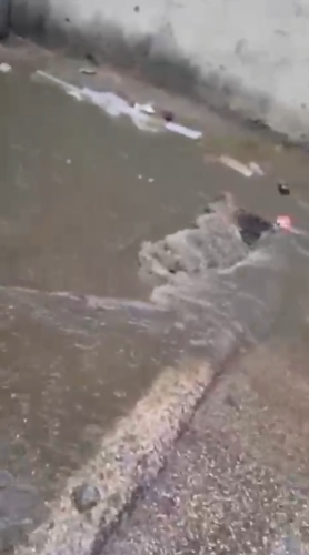 فيضان مصرف بمخيم عين الحلوة وسط غياب المعالجة