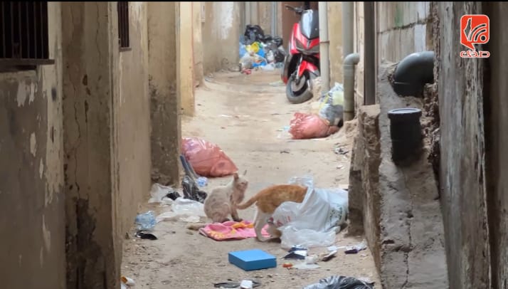 أزمة تراكم النفايات في مخيم برج البراجنة أيام الأحد