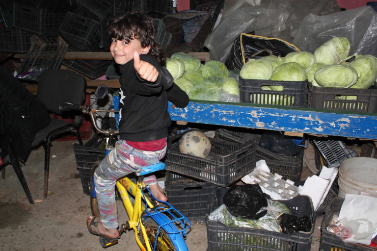 المخيمات الفلسطينية جنوب لبنان: انهيار بطيء على مرأى الجميع