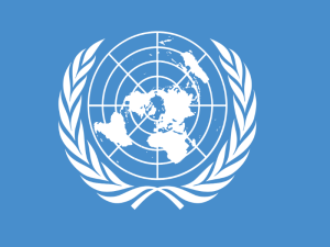 الأونروا: 50 ألف عائد إلى مخيم اليرموك خلال عام