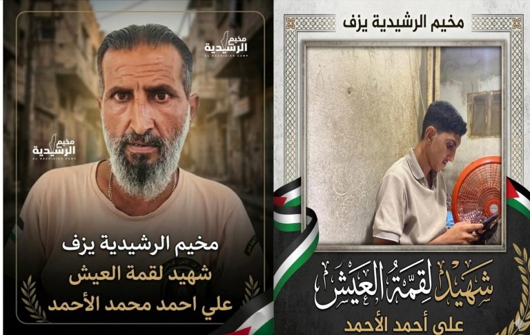 ارتقاء فلسطينيين في استهداف مباشر لبساتين الليمون بجنوب لبنان
