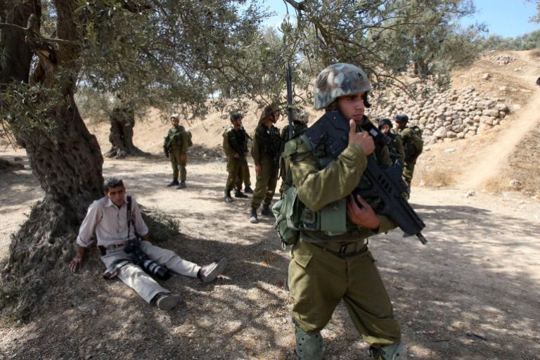 الاحتلال والمستوطنون يشنون هجوماً على قاطفي الزيتون في مردا وعناتا ويقتلعون 100 شجرة