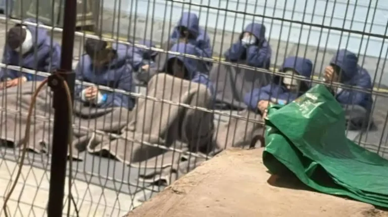 مؤسسة هند رجب تلاحق أطباء “إسرائيليين” أمام الجنائية الدولية